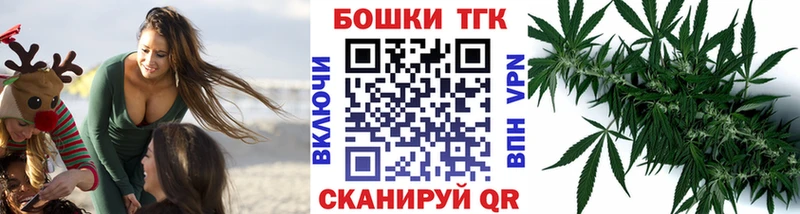 Где купить наркотики Кировск Экстази  Бошки Шишки  Меф  Амфетамин  Кокаин  ГАШ  Alpha PVP 