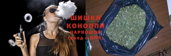 стаф Арсеньев