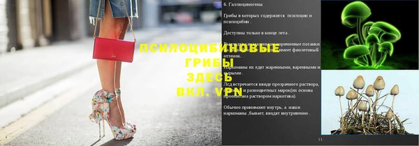 Альфа ПВП Аркадак