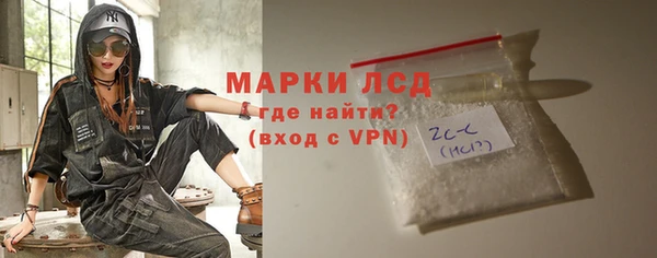 стаф Арсеньев