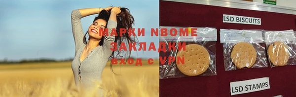 стаф Арсеньев