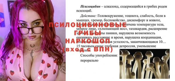 Альфа ПВП Аркадак